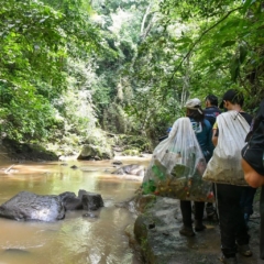 Limpieza Río Cajón - Atenas